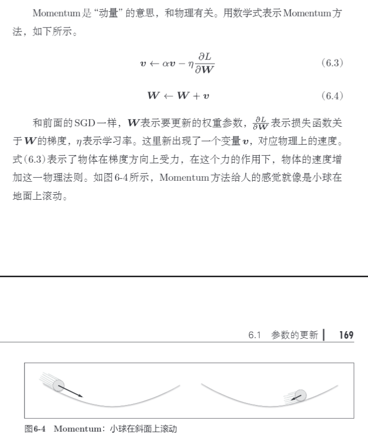 Momentum 原理图